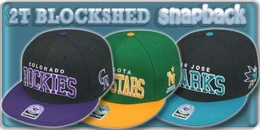Blockshed Snapback Hats