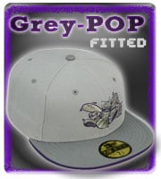 Grey-POP Fitted Hats