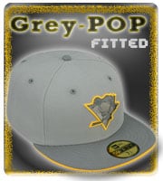 Grey-POP Fitted Hats