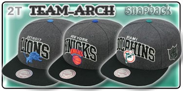 2T Team-Arch Snapback Hats