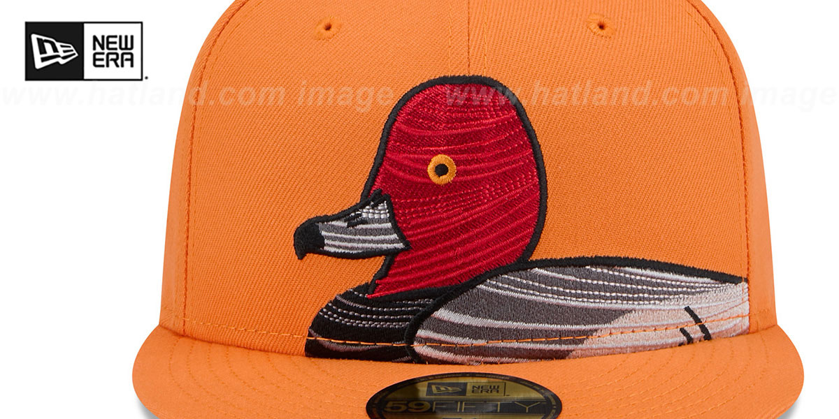 Aberdeen IronBirds THEME NIGHT Orange Fitted Hat by New Era