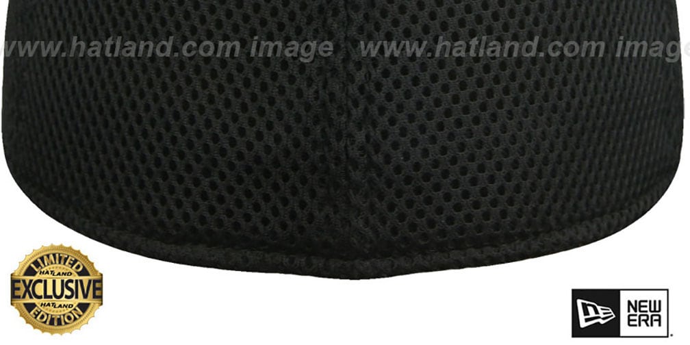 New Era NEOMESH 39THIRTYBLANK BlackBlack Flex Fitted Hat
