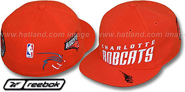 Charlotte Hornets Hats at hatland.com