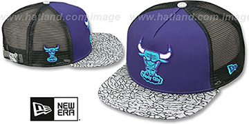 Bulls ELEPHANT-HOOK STRAPBACK Purple-Black Hat by New Era