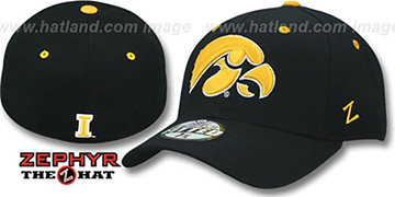 Iowa DHS Black Fitted Hat by Zephyr