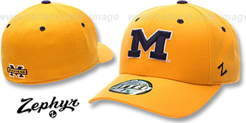 Michigan DH Fitted Hat by ZEPHYR - gold