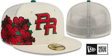 Puerto Rico WBC COUNTRY CONNECT TRUCKER Chrome Fitted Hat by New Era
