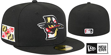Shorebirds 2026 THEME NIGHT Black Fitted Hat by New Era