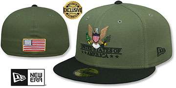 United States SEAL AND CREST Olive-Black Fitted Hat by New Era