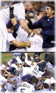 tampa bay rays