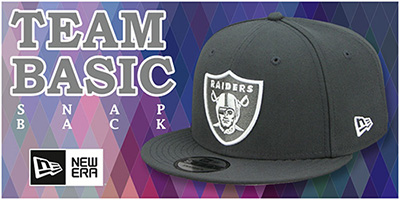 Team-Basic Snapback Hats