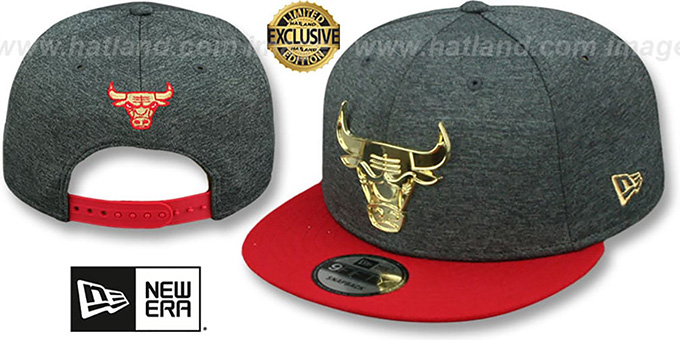 Bulls 'GOLD METAL-BADGE SNAPBACK' Shadow Tech-Red Hat by New Era