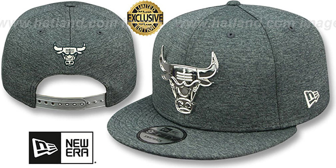 Bulls 'SILVER METAL-BADGE SNAPBACK' Shadow Tech Hat by New Era