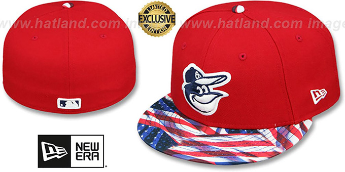 usa fitted hat