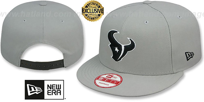 Texans 'NFL TEAM-BASIC SNAPBACK' Grey-Black Hat by New Era