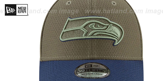 seahawks salute to service cap